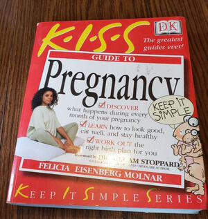 KISS Guide to Pregnancy (Keep it Simple Guides) - Paperback - GOOD